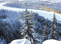 Встречи с Чучуно 